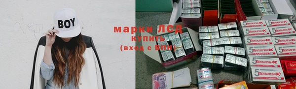 spice Алзамай